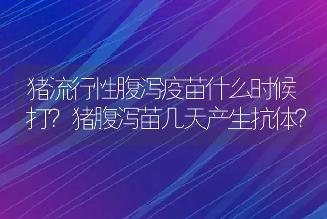 猪流行性腹泻疫苗什么时候打？猪腹泻苗几天产生抗体？ | 兽医知识大全