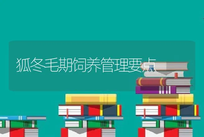 狐冬毛期饲养管理要点 | 特种养殖