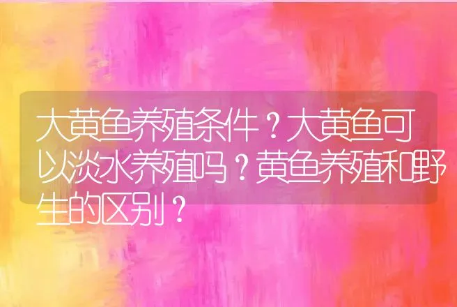 大黄鱼养殖条件？大黄鱼可以淡水养殖吗？黄鱼养殖和野生的区别？ | 动物养殖