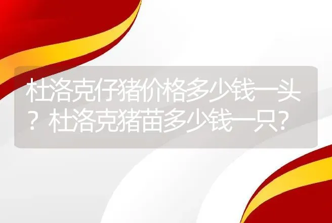 杜洛克仔猪价格多少钱一头？杜洛克猪苗多少钱一只？ | 养殖致富