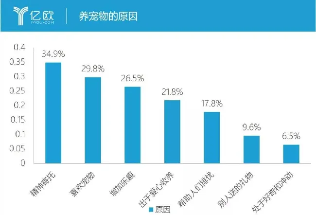 超5000万猫奴 | 中国或将取代日本，成为“猫咪经济学”大国 | 宠物新闻资讯