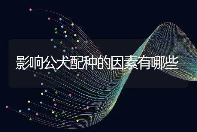 影响公犬配种的因素有哪些 | 动物养殖