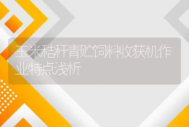 玉米秸秆青贮饲料收获机作业特点浅析 | 养殖