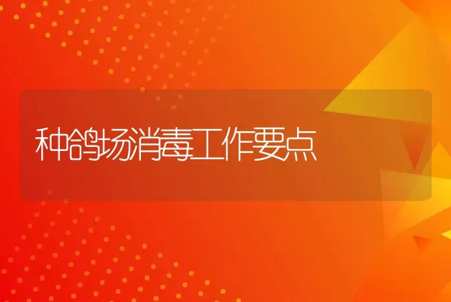 种鸽场消毒工作要点 | 家禽养殖