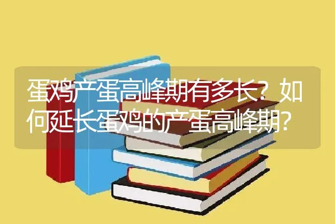 蛋鸡产蛋高峰期有多长？如何延长蛋鸡的产蛋高峰期？ | 家禽养殖