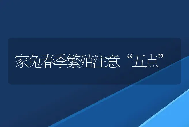 家兔春季繁殖注意“五点” | 动物养殖