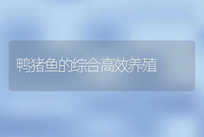 鸭猪鱼的综合高效养殖 | 动物养殖