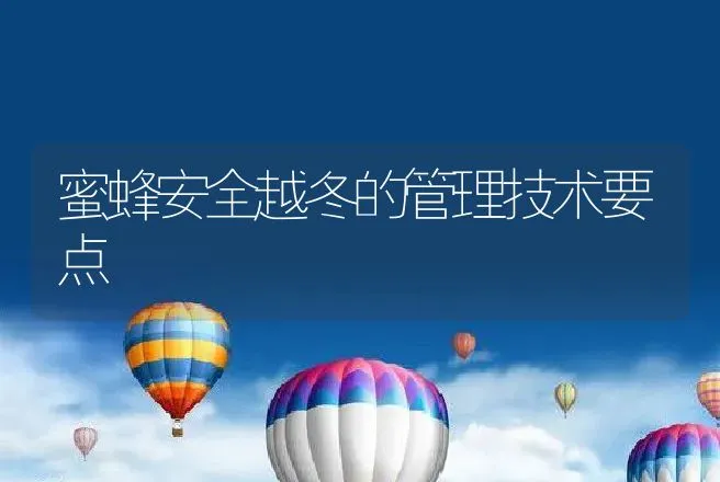 蜜蜂安全越冬的管理技术要点 | 动物养殖