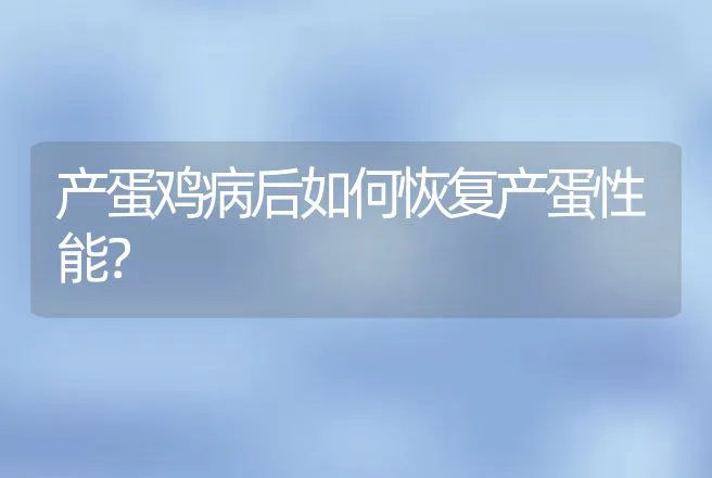 产蛋鸡病后如何恢复产蛋性能？ | 动物养殖