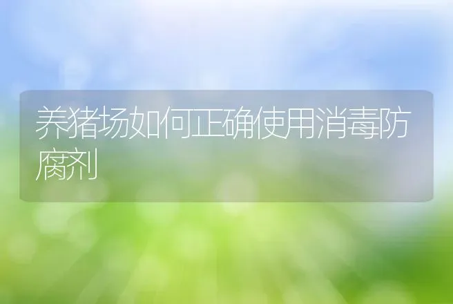 养猪场如何正确使用消毒防腐剂 | 动物养殖