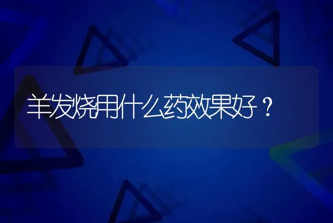 羊发烧用什么药效果好？ | 兽医知识大全