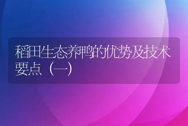 稻田生态养鸭的优势及技术要点（一） | 动物养殖