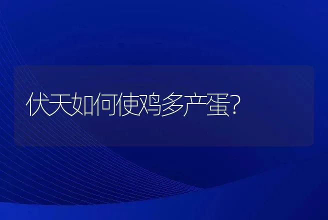 伏天如何使鸡多产蛋？ | 动物养殖