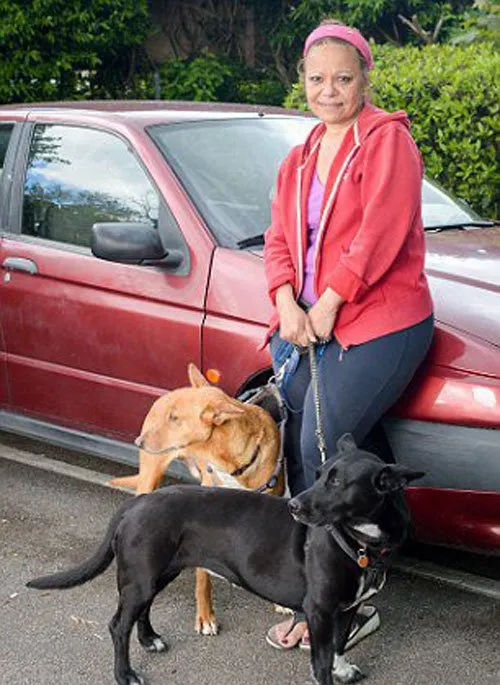 为了不让爱犬被送走，英国女子情愿以车为家以汤为食 | 宠物新闻资讯