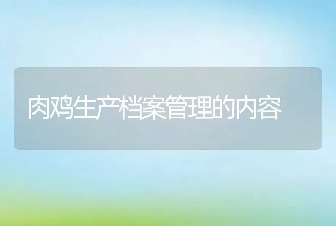 肉鸡生产档案管理的内容 | 动物养殖