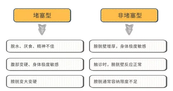 猫咪特发性膀胱炎是什么原因引起的，应该如何治疗？ | 宠物猫病虫害防治