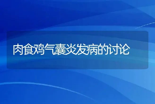 肉食鸡气囊炎发病的讨论 | 动物养殖