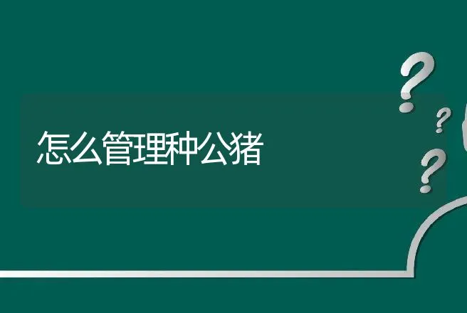 怎么管理种公猪 | 动物养殖