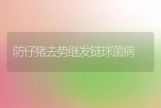 防仔猪去势继发链球菌病 | 动物养殖