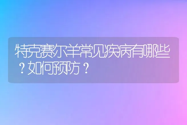 特克赛尔羊常见疾病有哪些？如何预防？ | 兽医知识大全