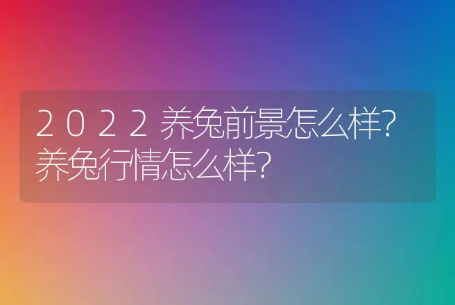 2022养兔前景怎么样？养兔行情怎么样？ | 养殖致富