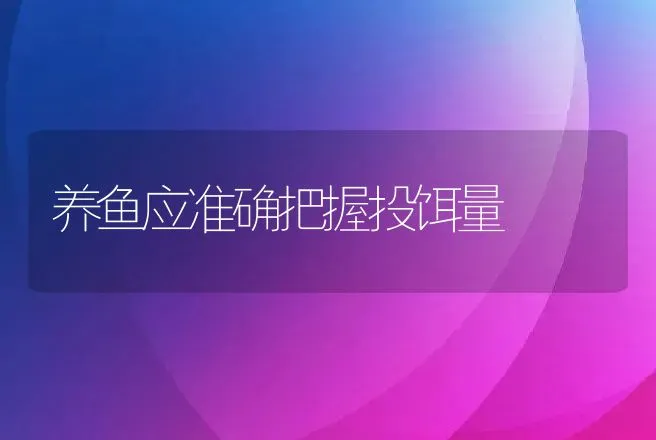 养鱼应准确把握投饵量 | 动物养殖