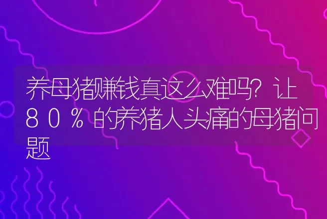 养母猪赚钱真这么难吗？让80%的养猪人头痛的母猪问题 | 养殖致富