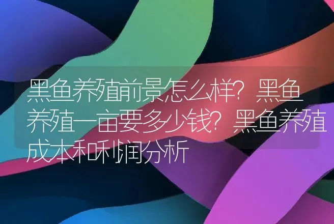 黑鱼养殖前景怎么样？黑鱼养殖一亩要多少钱？黑鱼养殖成本和利润分析 | 养殖致富