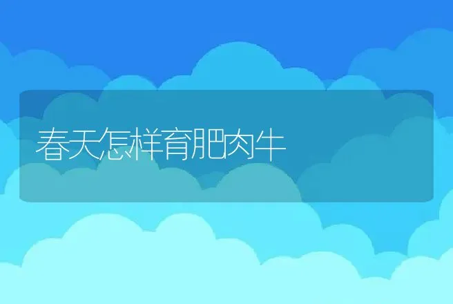 春天怎样育肥肉牛 | 动物养殖