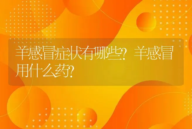 羊感冒症状有哪些？羊感冒用什么药？ | 兽医知识大全