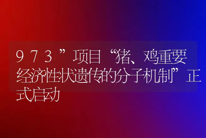 973”项目“猪、鸡重要经济性状遗传的分子机制”正式启动 | 动物养殖