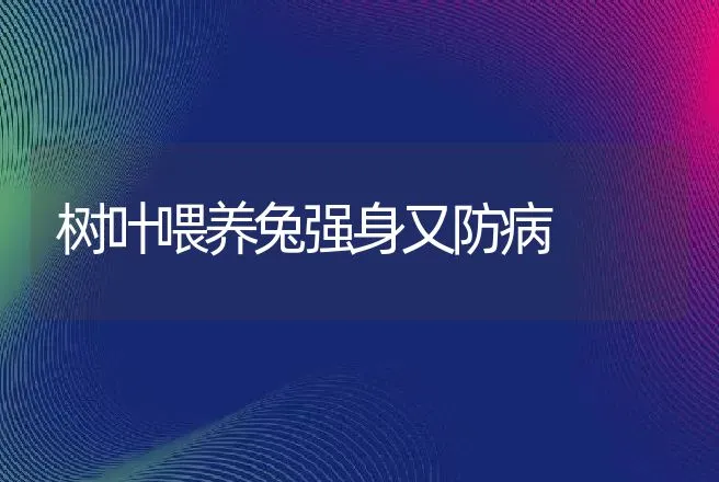 树叶喂养兔强身又防病 | 动物养殖