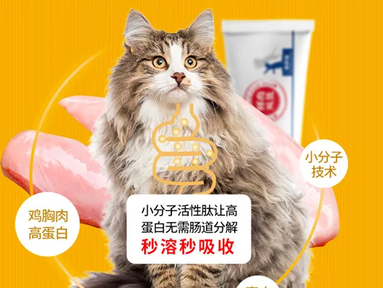 猫咪健康优选——医仕高鸡肉速补营养膏 | 宠物新闻资讯