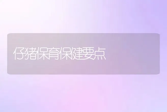 仔猪保育保健要点 | 动物养殖