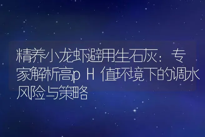 精养小龙虾避用生石灰：专家解析高pH值环境下的调水风险与策略 | 水产知识