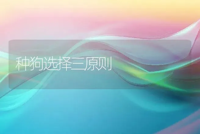 种狗选择三原则 | 动物养殖