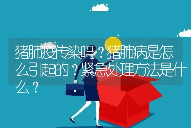 猪肺疫传染吗？猪肺病是怎么引起的？紧急处理方法是什么？ | 兽医知识大全