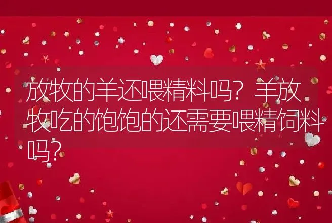 放牧的羊还喂精料吗？羊放牧吃的饱饱的还需要喂精饲料吗？ | 家畜养殖