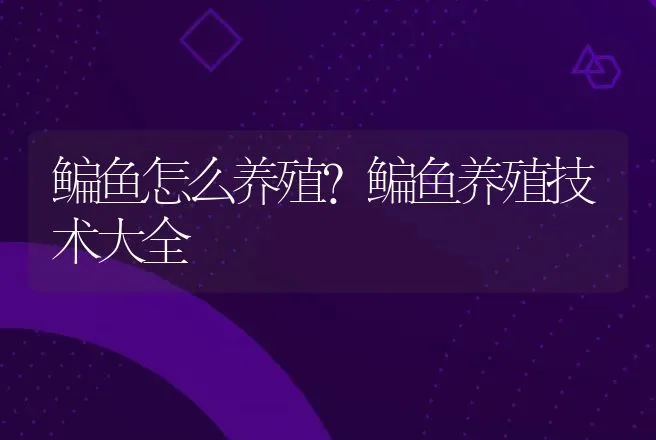 鳊鱼怎么养殖？鳊鱼养殖技术大全 | 水产知识