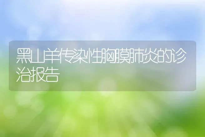 黑山羊传染性胸膜肺炎的诊治报告 | 动物养殖