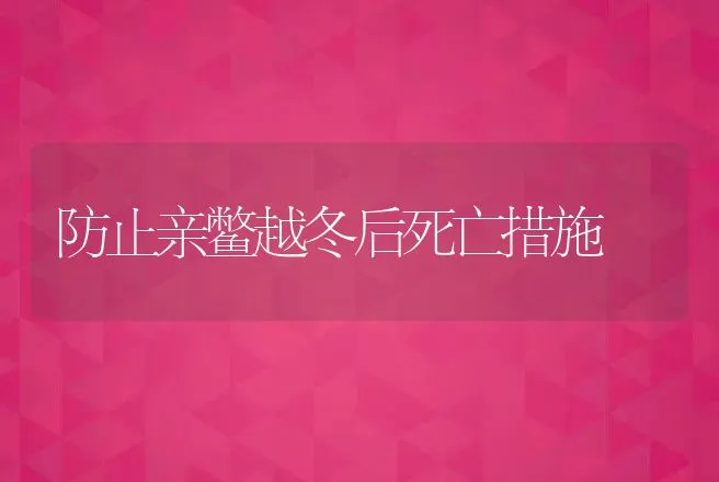 防止亲鳖越冬后死亡措施 | 动物养殖