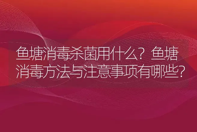 鱼塘消毒杀菌用什么？鱼塘消毒方法与注意事项有哪些？ | 水产知识