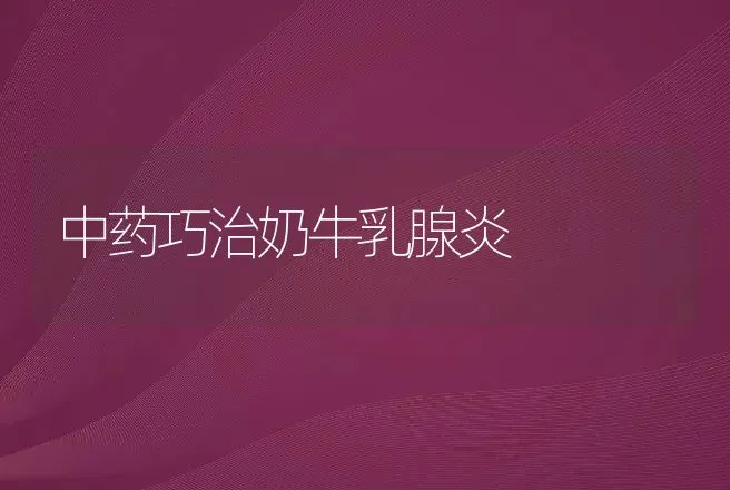 中药巧治奶牛乳腺炎 | 动物养殖