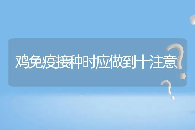 鸡免疫接种时应做到十注意 | 动物养殖