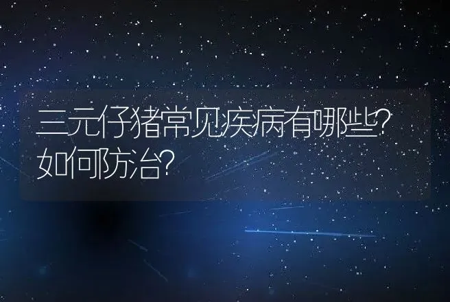 三元仔猪常见疾病有哪些？如何防治？ | 兽医知识大全