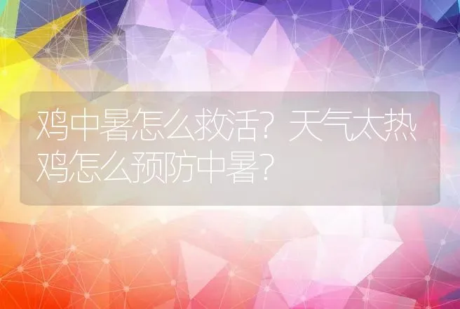 鸡中暑怎么救活？天气太热鸡怎么预防中暑？ | 家禽养殖