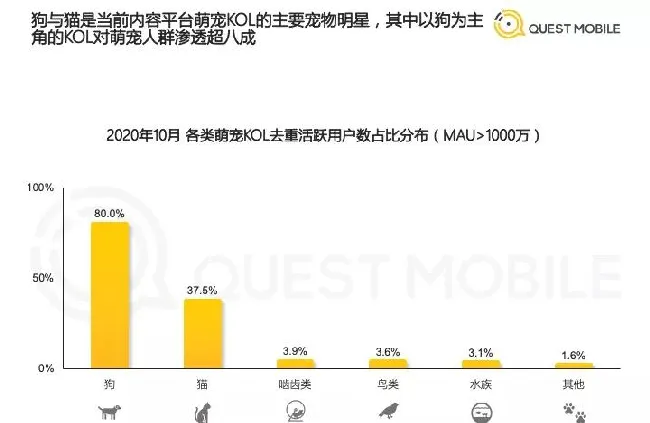 QuestMobile：国内萌宠群体规模已经超过5.3亿 | 宠物行业洞察