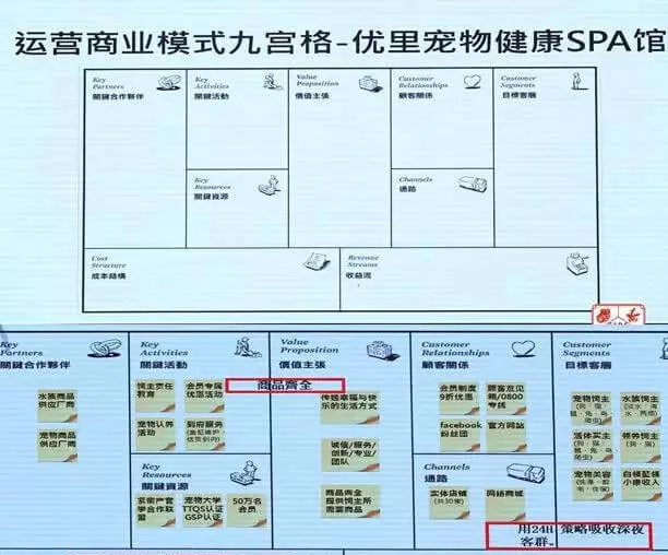 两家风格迥异的宠物店，谁是未来社区店的主力模式？ | 宠物行业洞察