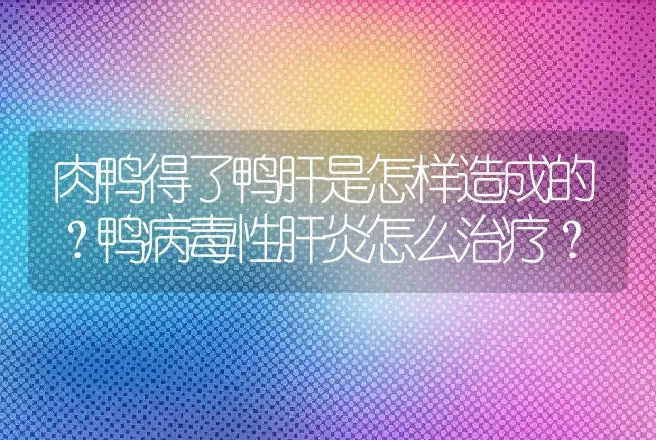 肉鸭得了鸭肝是怎样造成的？鸭病毒性肝炎怎么治疗？ | 兽医知识大全