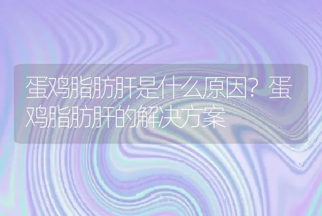 蛋鸡脂肪肝是什么原因？蛋鸡脂肪肝的解决方案 | 兽医知识大全